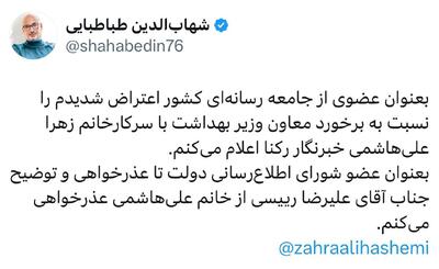 عذرخواهی طباطبایی بابت رفتار زشت معاون وزیر