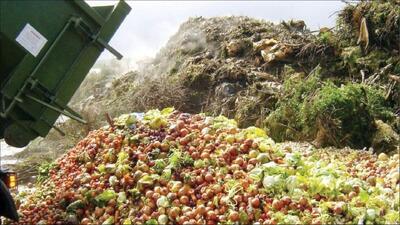 تولید خوراک دام و طیور از ضایعات بخش کشاورزی