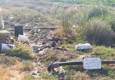 جنجال آبیاری با فاضلاب در دهدشت؛ محیط زیست: فقط علوفه آبیاری شد - تسنیم
