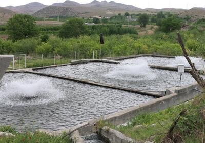 واگذاری ادوات مکانیزاسیون به 48 واحد پرورش ماهی در اردبیل - تسنیم