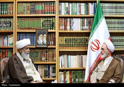 جایگاه مهم پاکستان در تحولات آینده جهان اسلام - تسنیم