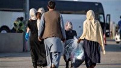 حضور اتباع مجاز در کشور باید به ۳ درصد برسد