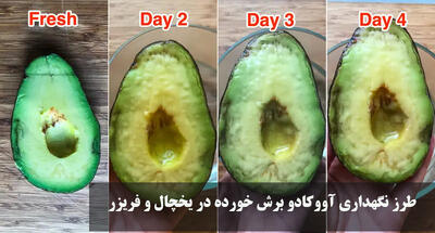 طرز نگهداری آووکادو برش خورده در یخچال و فریزر برای طولانی مدت