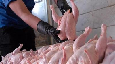مرغ با قیمت جدید؛ نرخ مصوب 135 هزار تومان اعلام شد