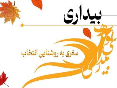 بیداری ، سفری به روشنایی انتخاب