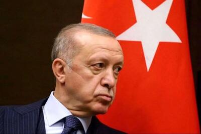 اردوغان: احتمالا به زودی به غزه سفر کنم | اقتصاد24