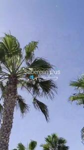 سقوط بالگرد نزدیک لس آنجلس آمریکا + فیلم