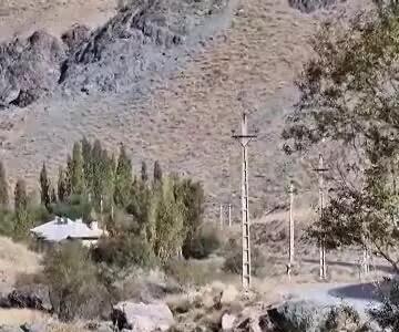 بازیگوشی گله گوزن‌ها در البرز جنوبی