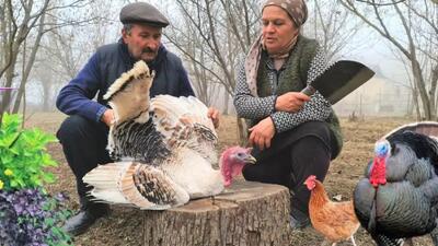برنامه زندگی روستایی - آشپزی در طبیعت قسمت 42 - هندوشکا پلو با گوشت بوقلمون