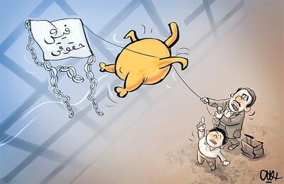 مرغ از دولت مجوز پرواز گرفت