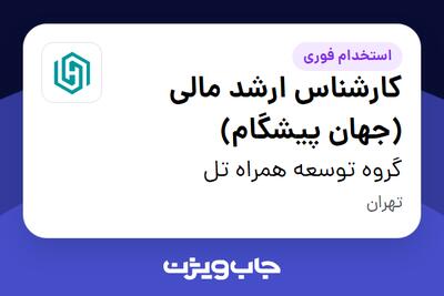 استخدام کارشناس ارشد مالی (جهان پیشگام) در گروه توسعه همراه تل