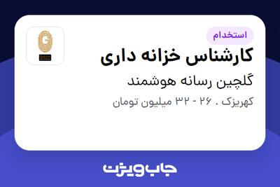 استخدام کارشناس خزانه داری در گلچین رسانه هوشمند