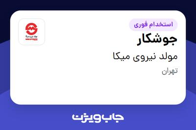  استخدام جوشکار - آقا در مولد نیروی میکا