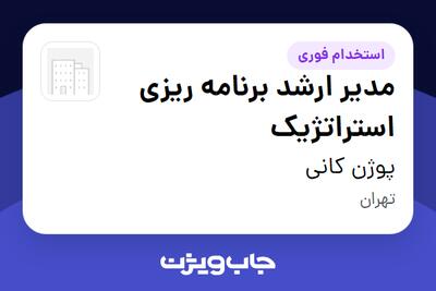 استخدام مدیر ارشد برنامه ریزی استراتژیک در پوژن کانی