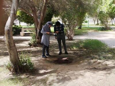 سرپرست مرکز بهداشت بوشهر: پایش مستمر پشه آئدس انجام می‌شود