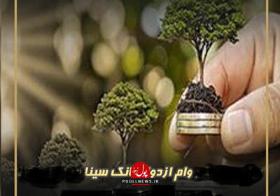 بانک سینا الگوی بانکها در ترغیب به ازدواج و فرزندآوری