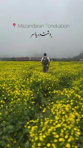 فیلم مناظر رویایی دشت دریاسر در تنکابن