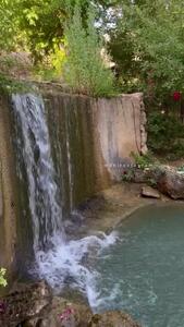 فیلم / باغ‌ خنک و سرسبز سپیدان