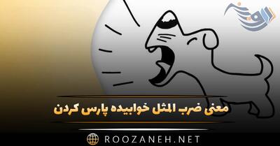معنی ضرب المثل خوابیده پارس کردن (بررسی معنی کامل)