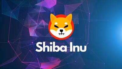 خطر ریزش بیشتر در کمین شیبا اینو؛ قیمت SHIB کجا به کف می‌رسد؟