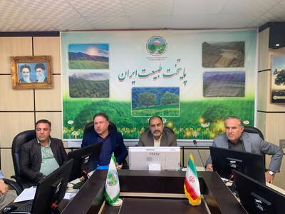 احیاء جنگل‌های آسیب‌دیده و دچار حریق شده کهگیلویه و بویراحمد
