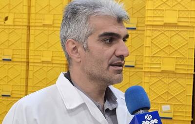 تکمیل زنجیره ارزش ماهیان سردآبی در چهارمحال و بختیاری/اشتغال‌زایی برای ۱۵ هزار نفر