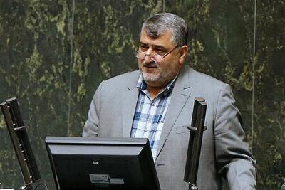پاسخ شاعرانه نماینده دولت به کنایه بابایی کارنامی نماینده مجلس + فیلم