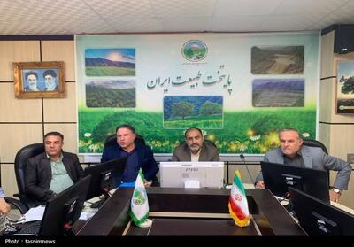قول منابع طبیعی برای افزایش سبز مانی نهال‌ها - تسنیم