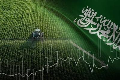 اینفوگرافی | توسعه کشاورزی در عربستان - تجارت نیوز