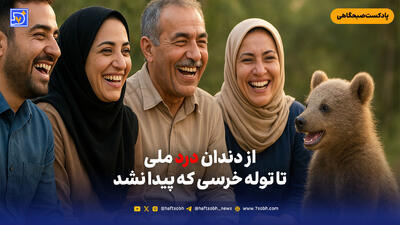 از دندان درد ملی تا توله خرسی که پیدا نشد