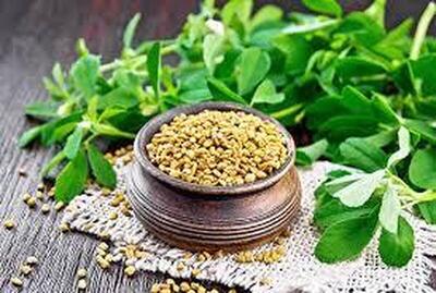 گیاهی که باورتان نمی‌شود ضد کلسترول و قند خون باشد