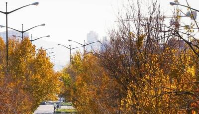 هوای تبریز ناسالم شد