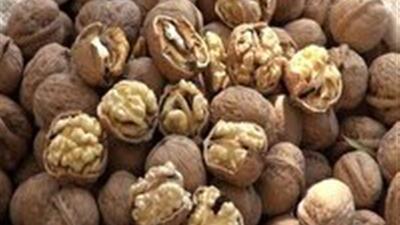 سهرورد زنجان ، مهیای پنجمین دوره جشنواره ملی گردو