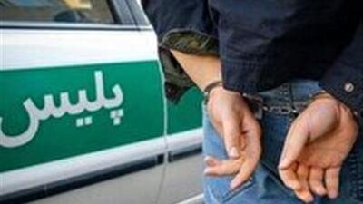 اجرای طرح «آرامش در شهر» در دهلران