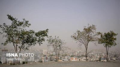 نفوذ گردوغبار و وزش باد شدید از امروز در زنجان