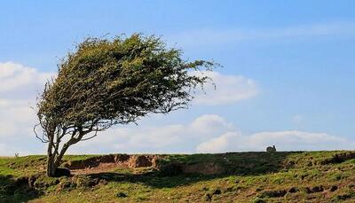 هشدار وزش باد شدید و گرد‌و‌خاک در استان قزوین
