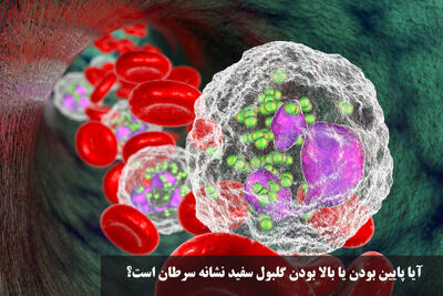 آیا پایین بودن یا بالا بودن گلبول سفید نشانه سرطان است؟ چقدر خطرناک است؟