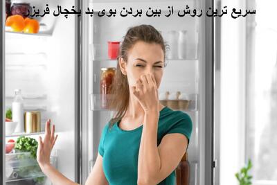 سریع ترین روش از بین بردن بوی بد یخچال فریزر با زغال، پیاز، قهوه، وانیل و جوش شیرین
