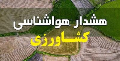 هشدار مهم هواشناسی به کشاورزان آذربایجان‌غربی: محصولات را سریع‌تر برداشت کنید!