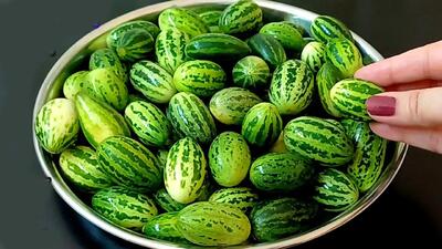 طرز تهیه کچری سابجی غذای معروف هندی