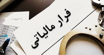 کشف فرار مالیاتی 53 میلیارد تومانی در حوزه فرآورده‌های غذایی در استان مرکزی