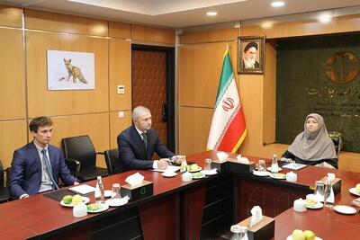 برنامه ریزی برای برگزاری «کاپ ۷» در ایران - اکونیوز