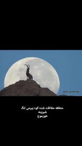 تصویری دیدنی از کوهی و ماه در نزدیکی خورموج