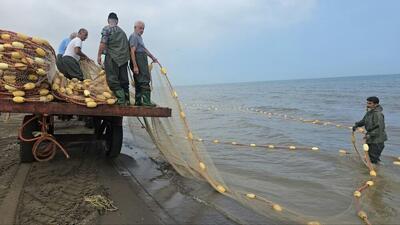  ۱۰۰۰ صیاد در بندرکیاشهر آغاز به کار کردند