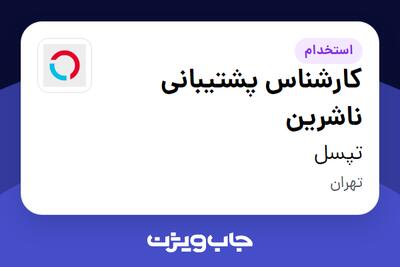استخدام کارشناس پشتیبانی ناشرین در تپسل