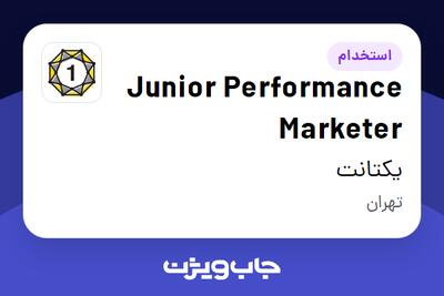 استخدام Junior Performance Marketer در یکتانت