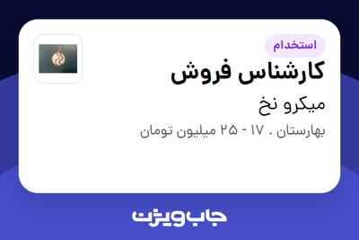 استخدام کارشناس فروش در میکرو نخ