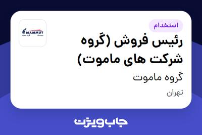 استخدام رئیس فروش (گروه شرکت های ماموت) - آقا در گروه ماموت