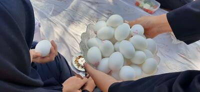 برگزاری روز جهانی تخم مرغ در شهرستان شاهرود