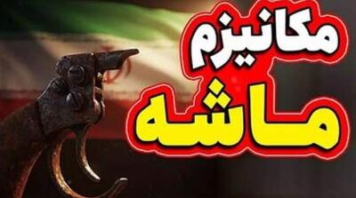 چینی ها در خرید نفت ایران، مکانیسم ماشه را دور می زنند - مردم سالاری آنلاین